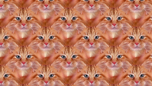 1207966 (a): :1920x1080